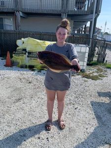 Nice sized Flounder in Brigantine, NJ